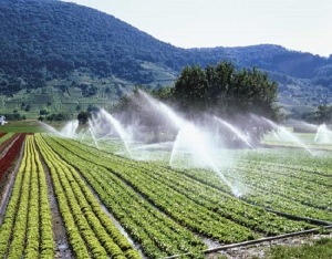 largest irrigation system in pakistan