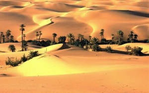 Thar desert